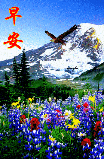 早上好,远方的朋友,愿我的祝福给你带来开心快乐!