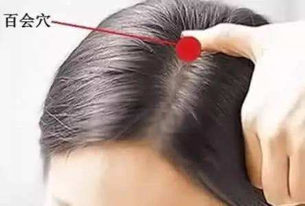 神庭的准确位置图片(穴位就是中药) - 赤虎壹号