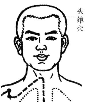 神庭的准确位置图片(穴位就是中药) - 赤虎壹号