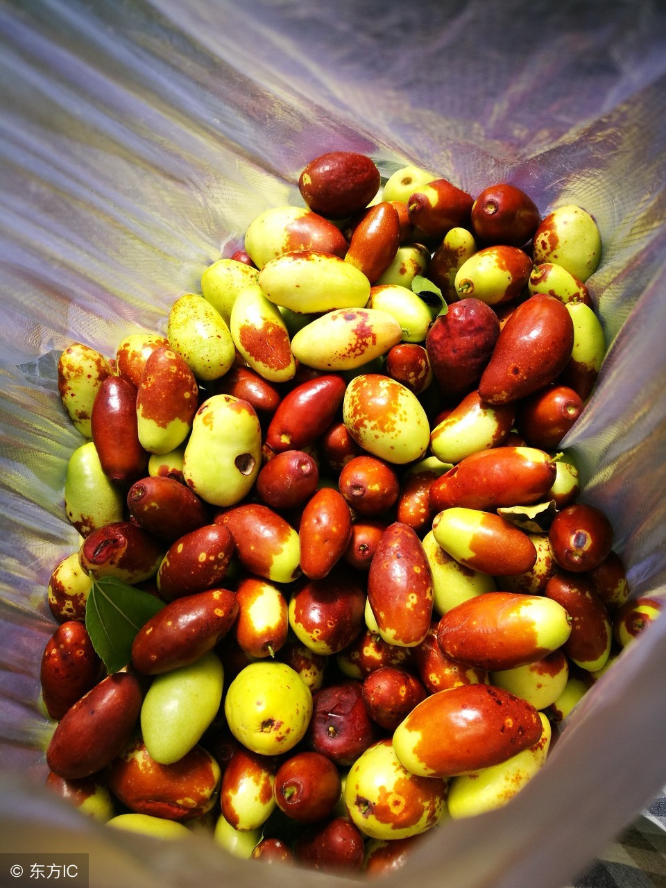 枣中之王,酸枣的营养价值及功效