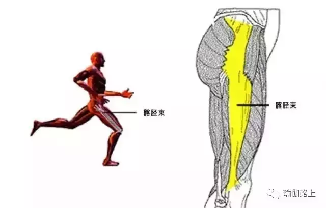 你的髂脛束太緊啦！等等，髂脛束是哪裡？