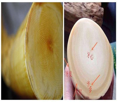 ①牙纹角度:两种象牙都是人字纹,区别在于现代象牙的牙纹是大于115度