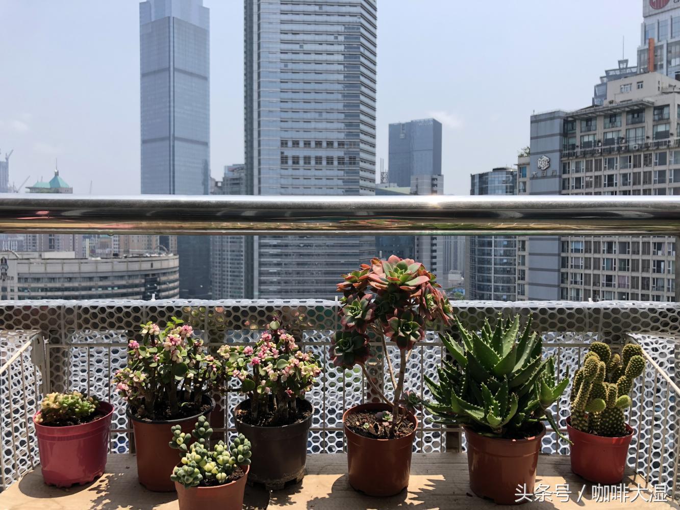 咖啡师培训课程介绍