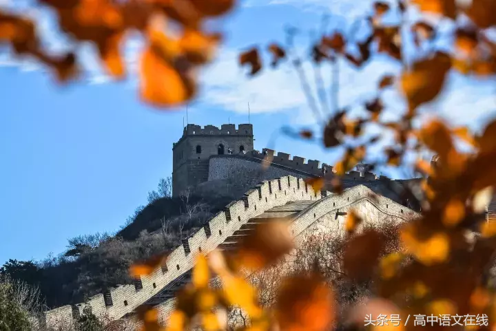 關于重陽節的古詩有些