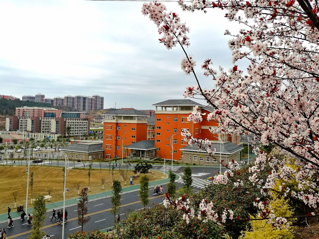 四川高等中医药专科学校（风雨兼程）