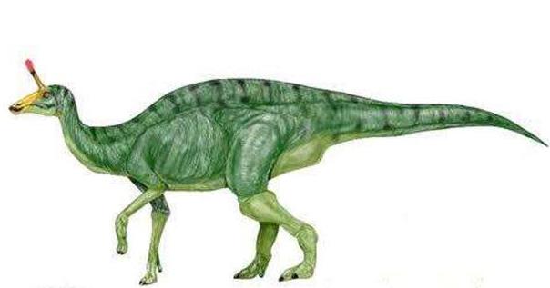 第一种恐龙叫什么名字图片