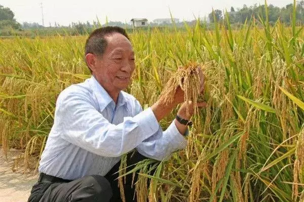 教育家陶行知的至理名言和中国的脊梁