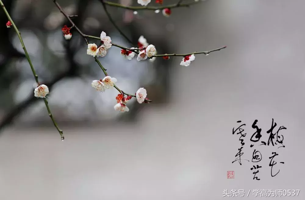 中国诗词大会:你若幸福,必有诗香……