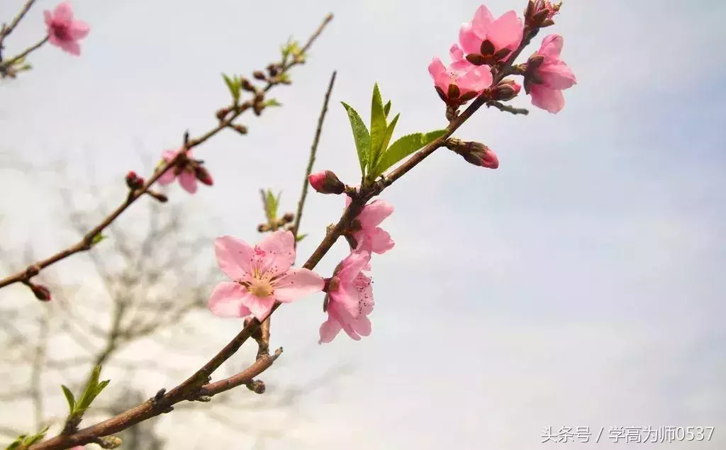 中国诗词大会:你若幸福,必有诗香……