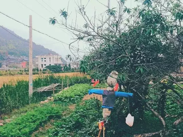 下一个网红小县城，海鲜便宜过象山，秋色不输杭州