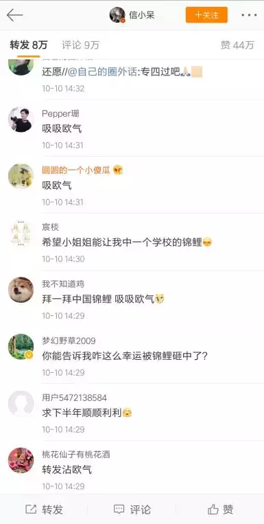 转发这条锦鲤,祝我……