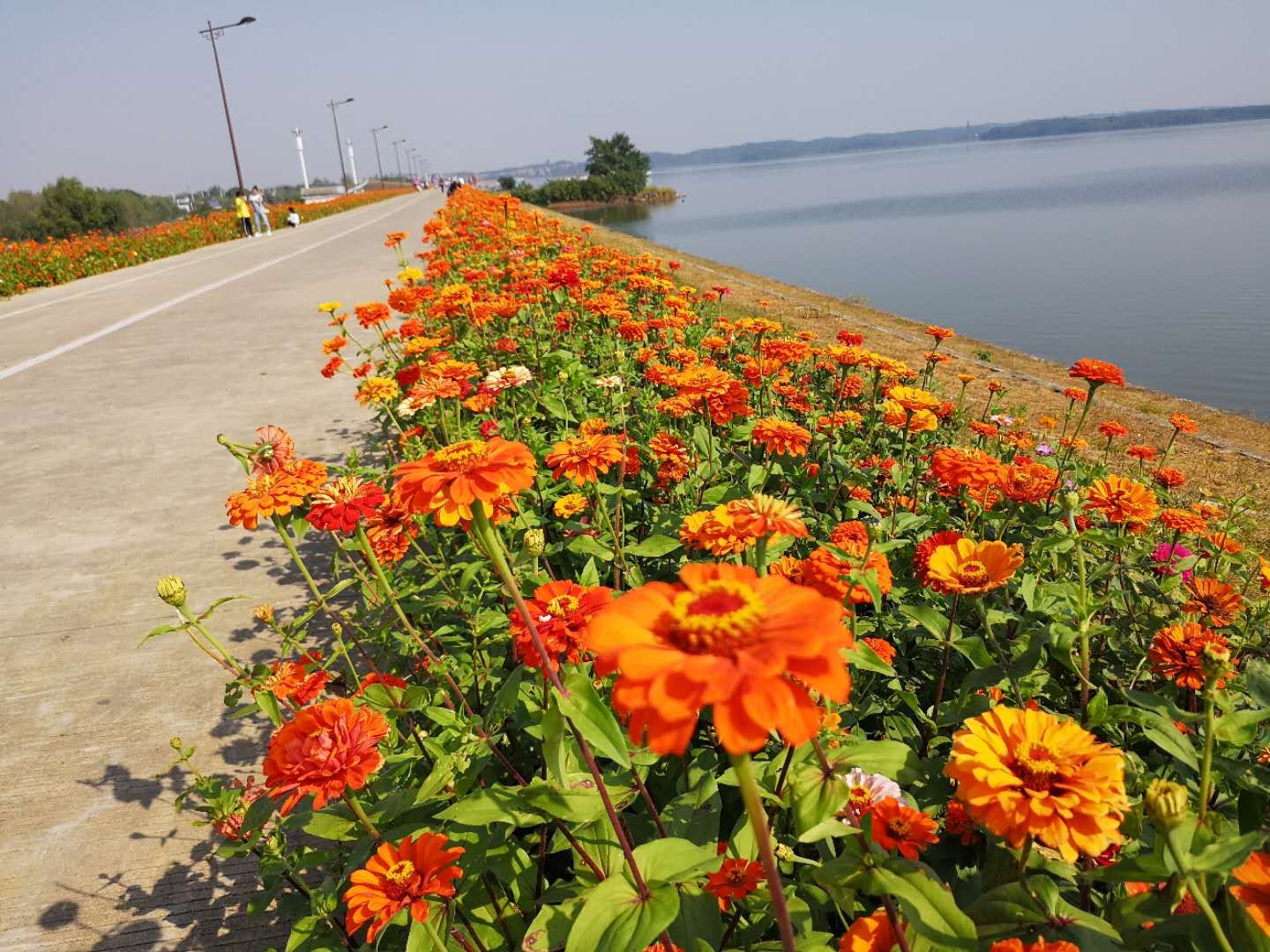 2018年高考英语优秀作文范文！