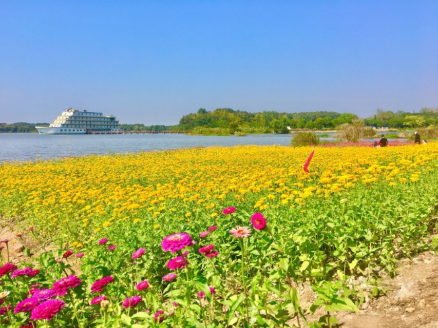 高考英语满分作文（2018年高考英语优秀作文范文）