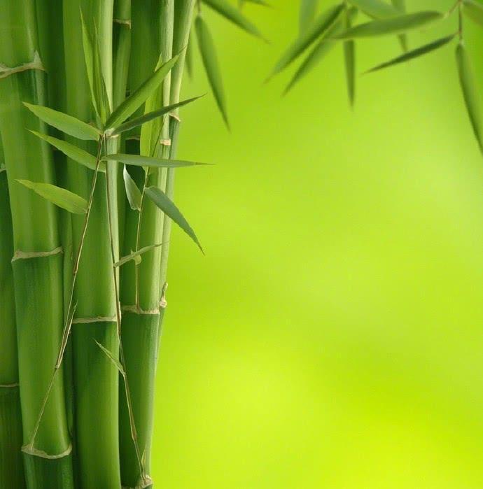 佛教心灵鸡汤经典语录，句句隐含人生哲理，读了好几遍！