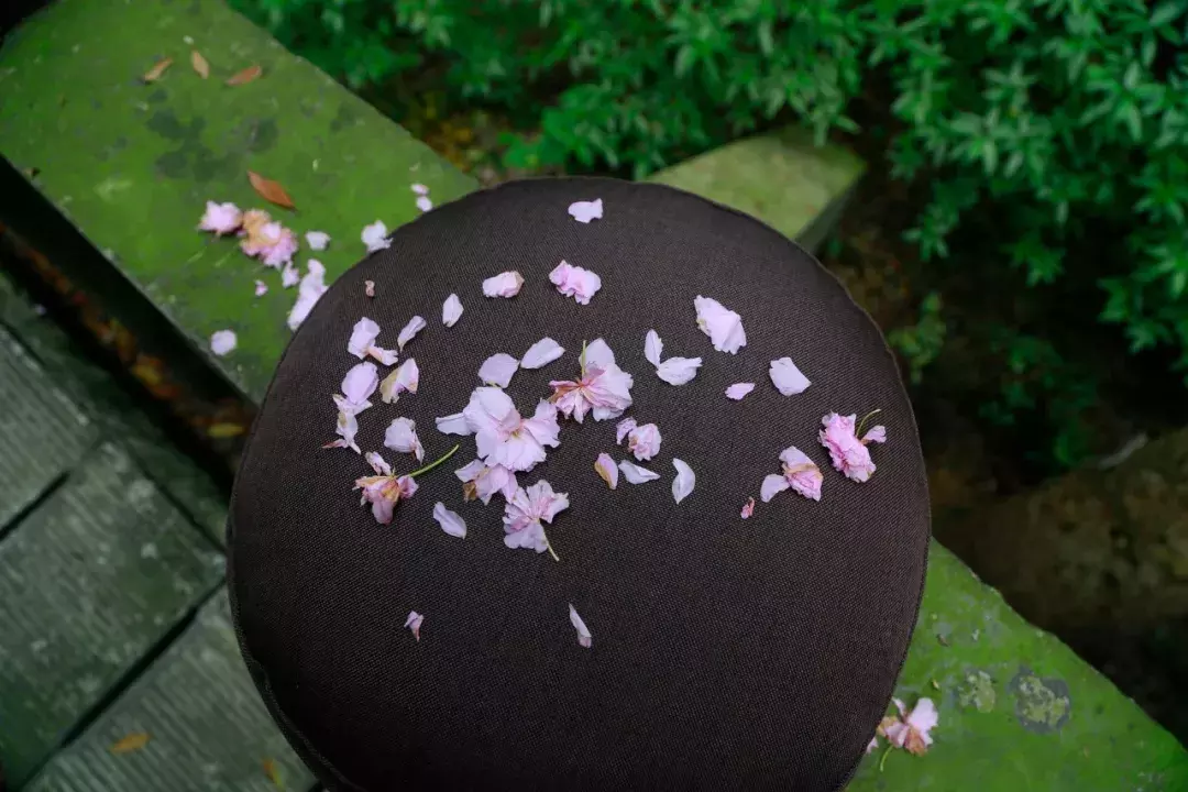 十首唯美落花诗词：落花人独立，微雨燕双飞