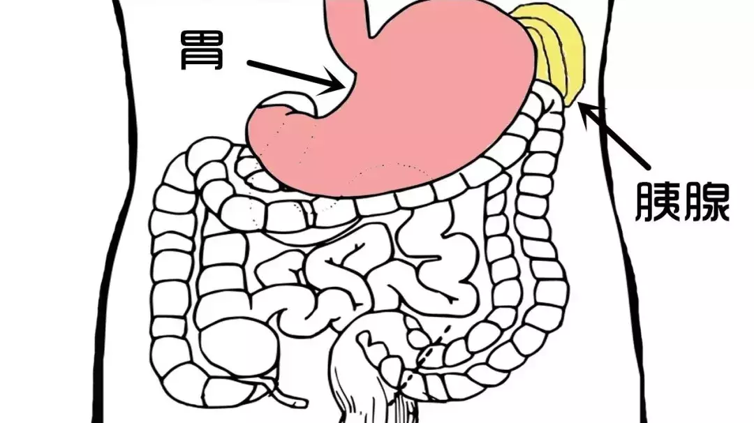 肚子疼，究竟是哪里疼？疼痛背后的急性病，连医生都紧张