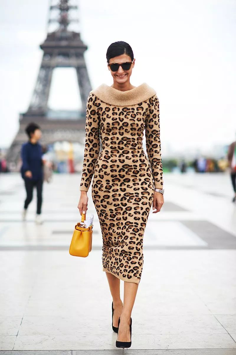 关于豹纹的搞笑说说(穿豹纹衣服搞笑说说) _晶羽文学网