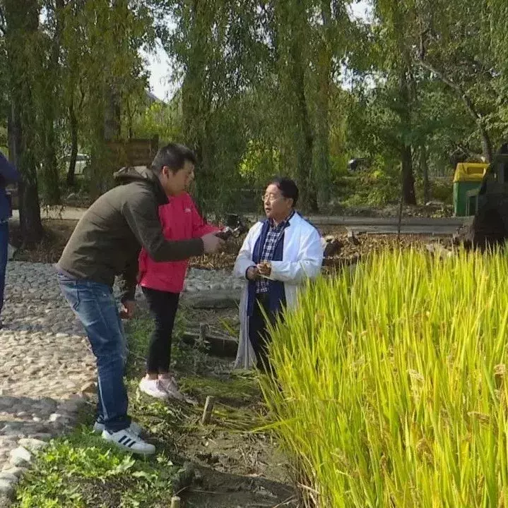 名气更大了！宝坻小辛码上人民网直播啦