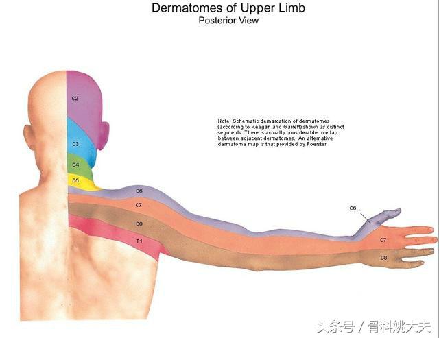 手指麻木怎么办？记住这八点，分分钟就找到病因！