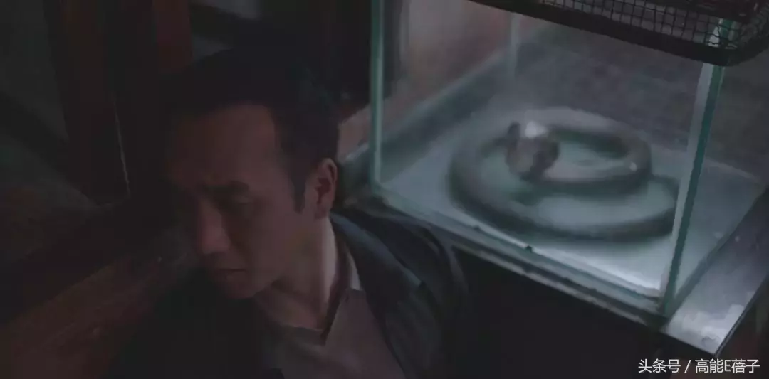 这部最值得期待的国产电影,终于定档了