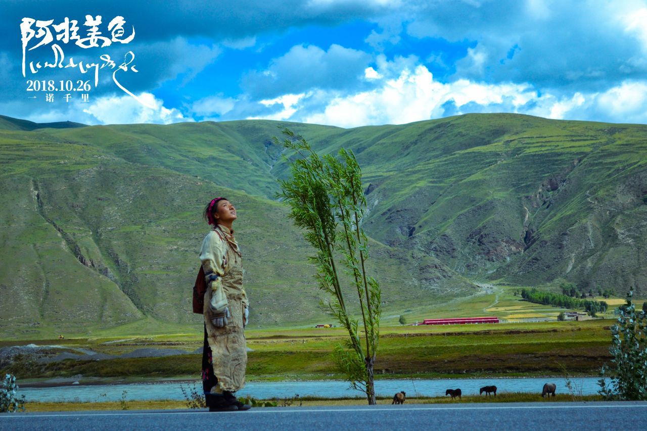 又一部动人的西藏电影！《阿拉姜色》为什么值得一看？