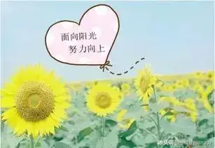单词+词组+句型：20天轻松搞定高中英语3500词(C)下！