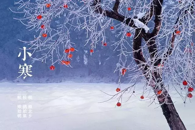 东北开始下雪了，关于雪的诗句你能想起几句来？