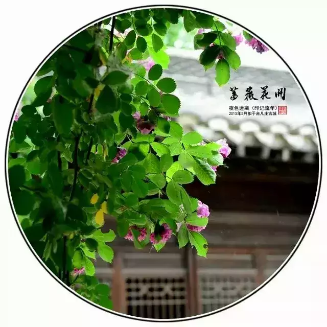 诗八首 瘦相思醉酒 只剩中秋楼