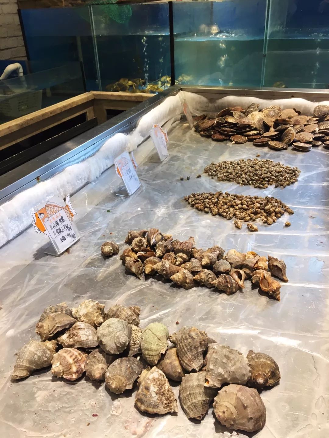長春最全品類12种鐵鍋炖，鐵鍋炖+蒸海鲜，热乎大锅菜吃着真爽