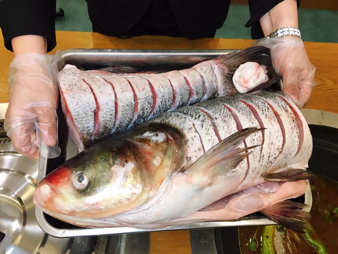 長春最全品類12种鐵鍋炖，鐵鍋炖+蒸海鲜，热乎大锅菜吃着真爽