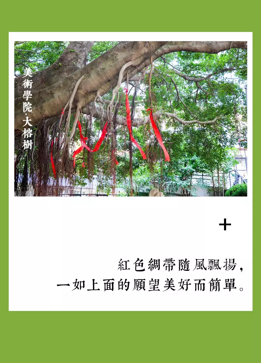 毕业后的你，有多少次梦回校园生活？100个泉州华侨大学的记忆！