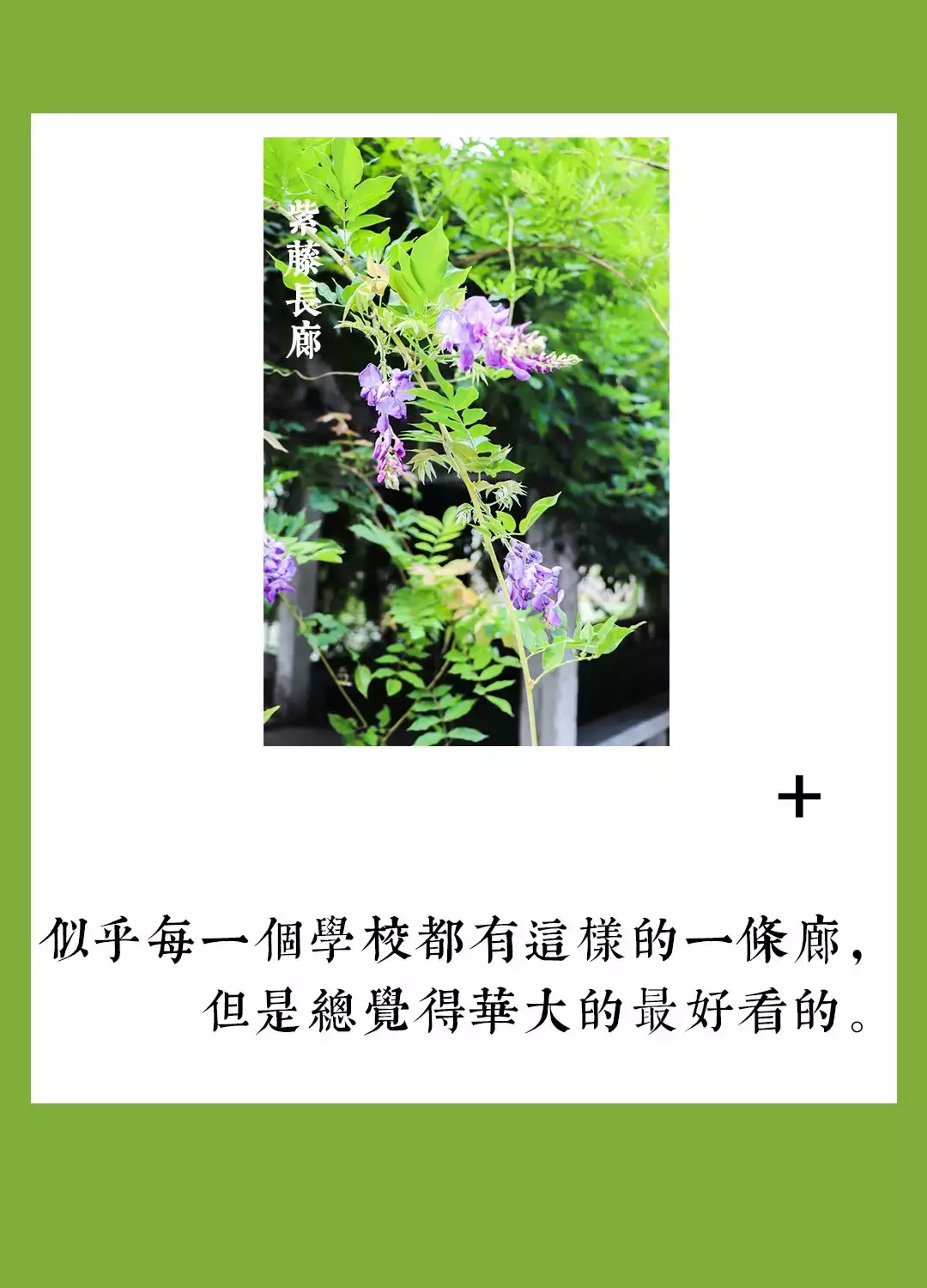 毕业后的你，有多少次梦回校园生活？100个泉州华侨大学的记忆！