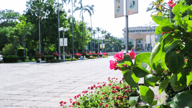 毕业后的你，有多少次梦回校园生活？100个泉州华侨大学的记忆！