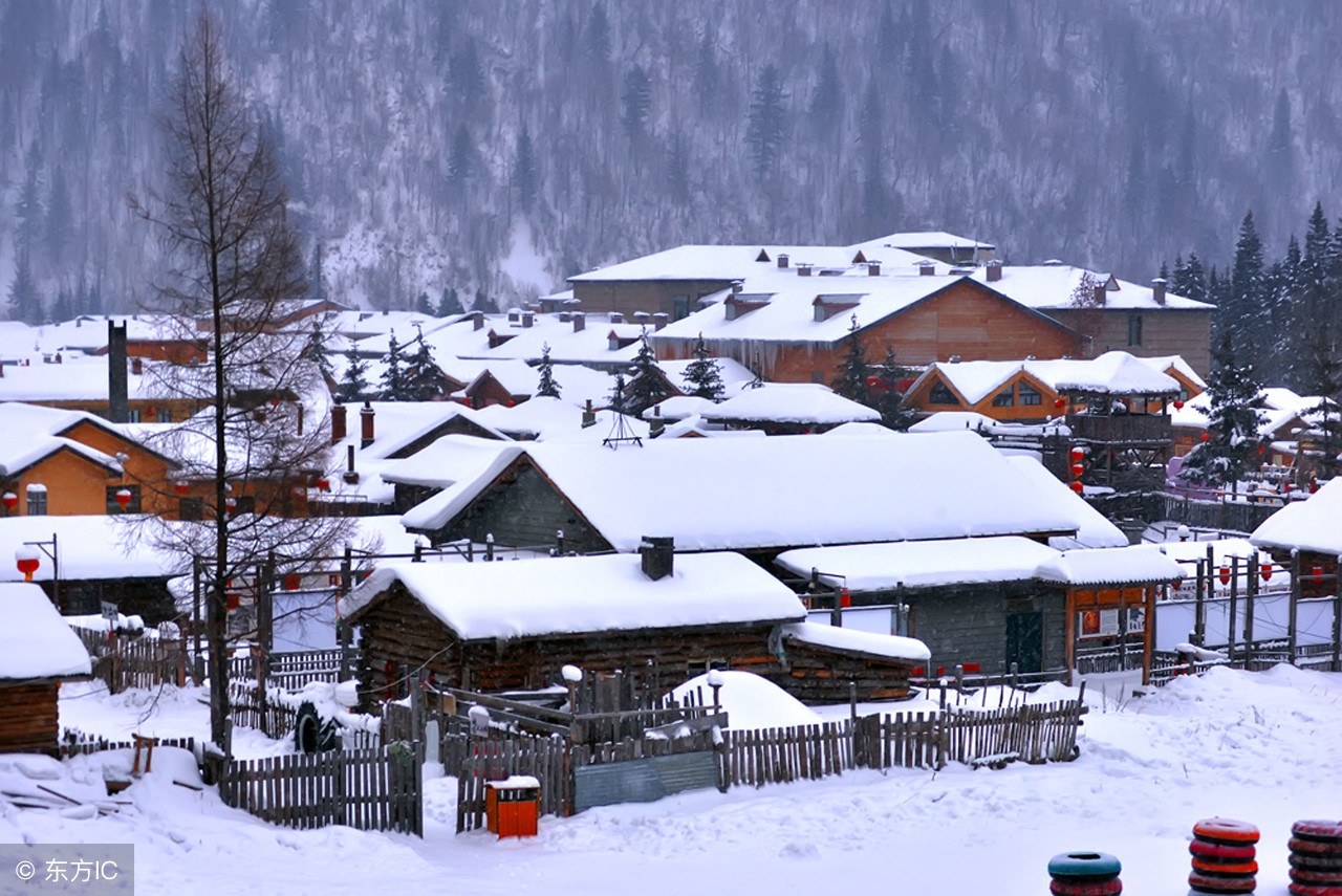 史上最全的飞花令——月（303）