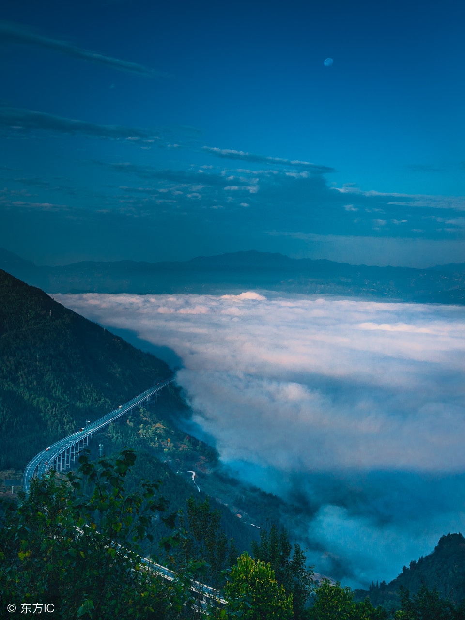 史上最全的飞花令——月（303）