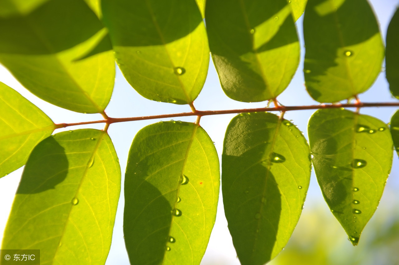 史上最全的飞花令——月（303）