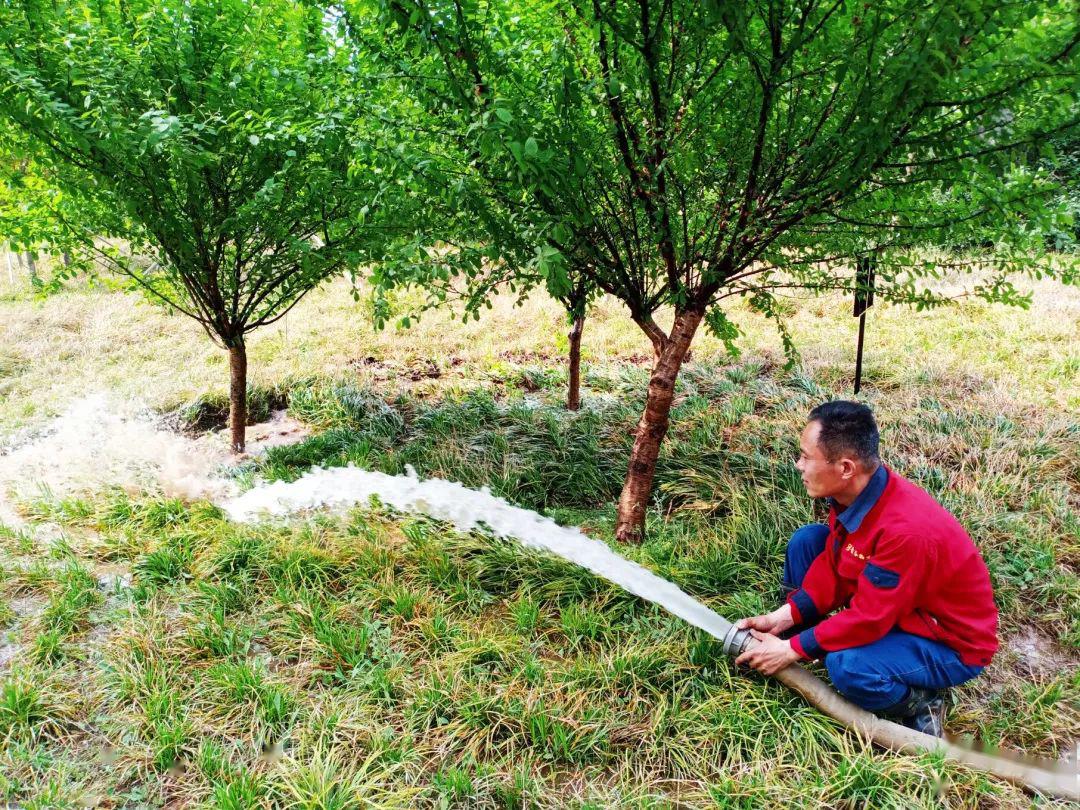 化糞池的糞便怎么處理,小區化糞池的糞便怎么處理