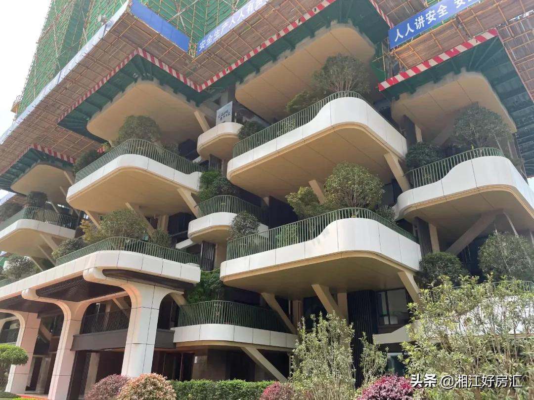备受争议！把庭院搬进高楼，长沙的首个第四代住宅，就这？