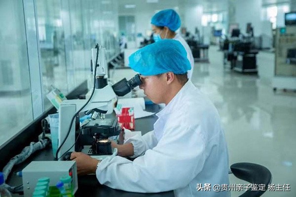 做亲子鉴定多少钱,做亲子鉴定多少钱一次