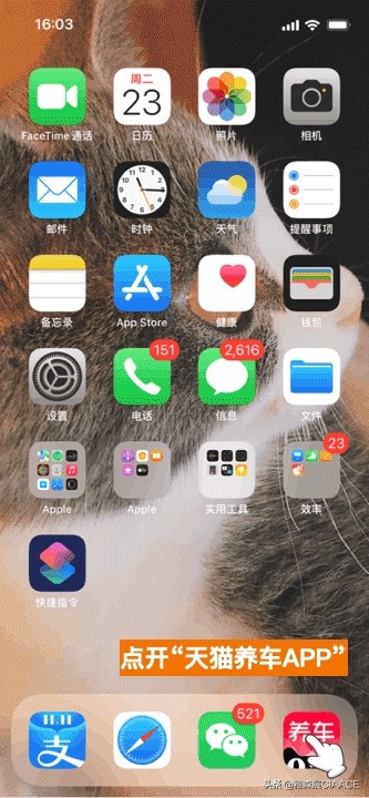 天猫养车发展战略2022正式官宣！（内附新加盟政策）