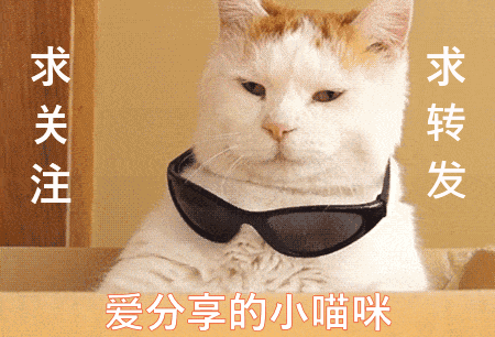 Word教程：如何给文档添加水印？保护版权的一种方式！职场！