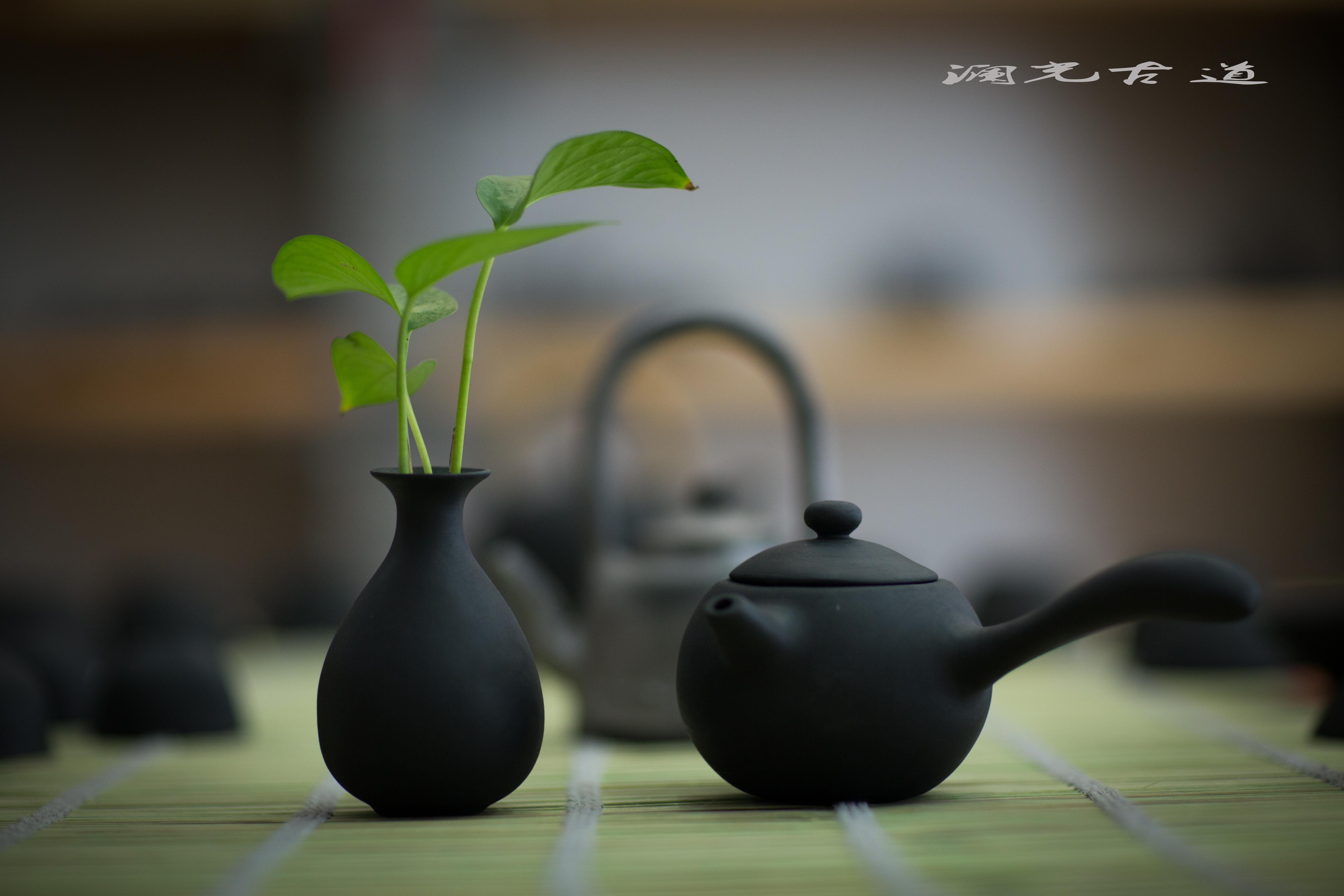 若素茶叶的功效与作用-我的快乐小窝