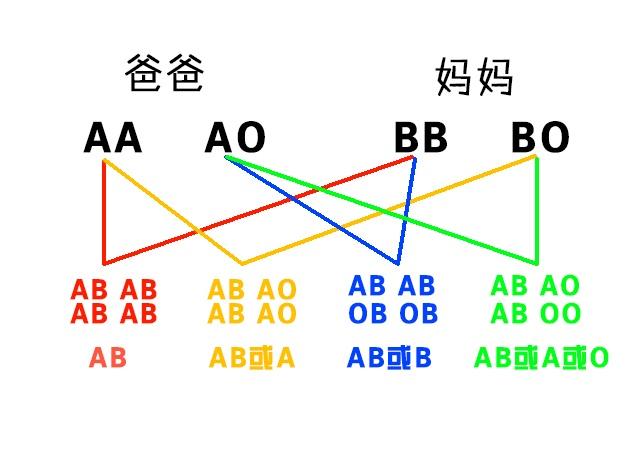 一张图，让你看懂父母与子女血型的关系