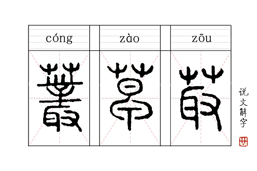 《说文解字》第111课:古人说的草,并非草木的草,而是一种果实