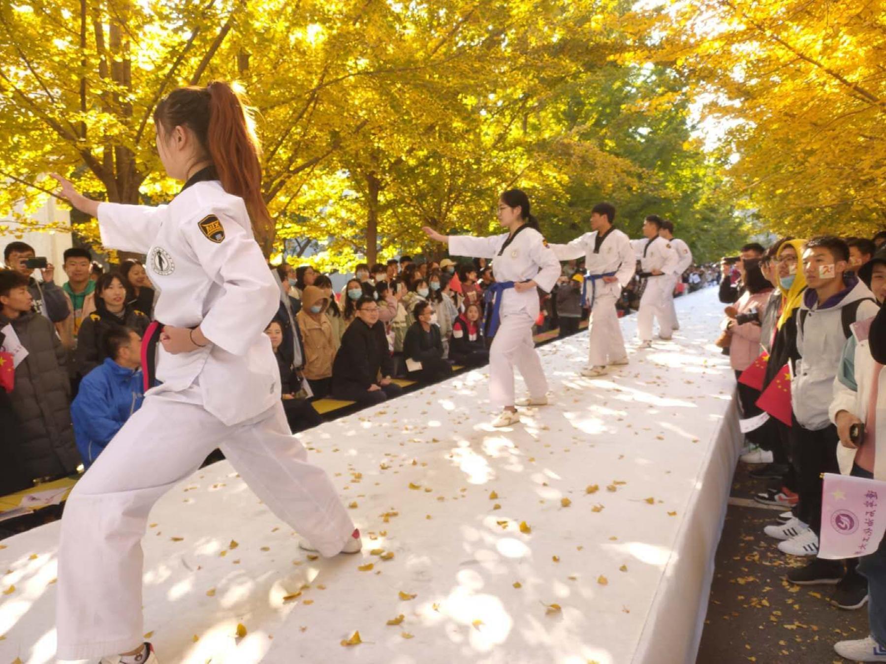 辽宁石油化工大学第四届银杏文化节开幕