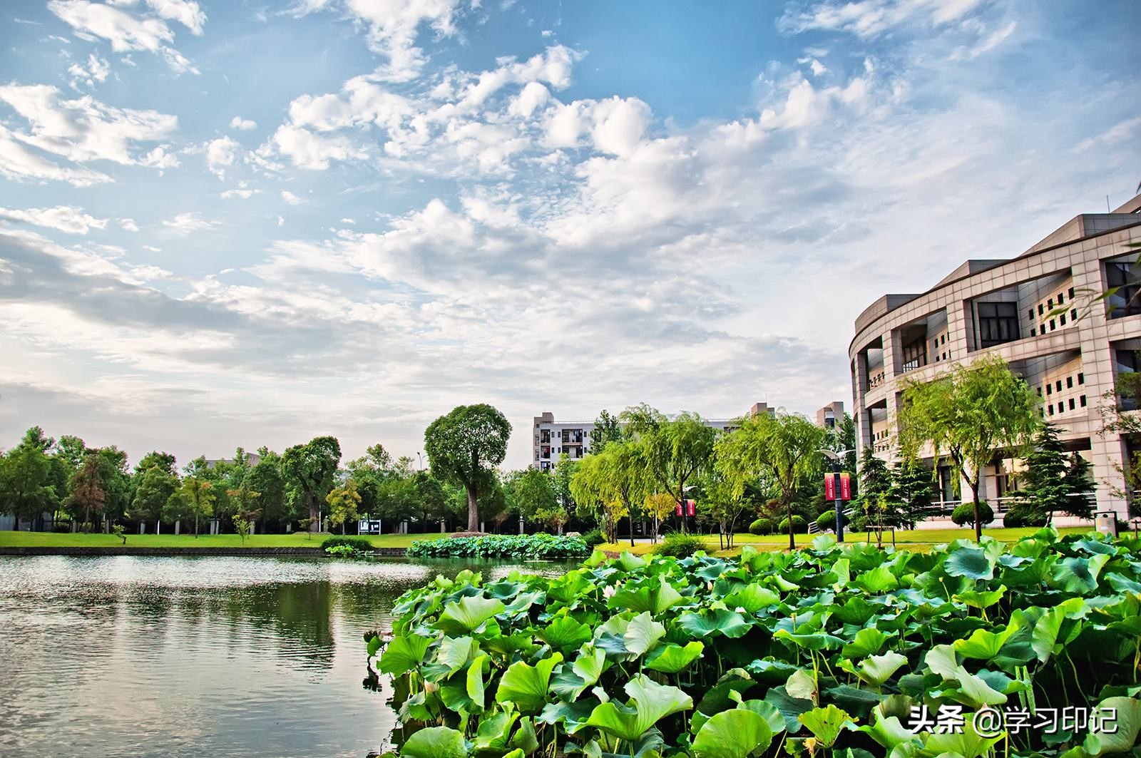 浙江最好的7所大学，能够考上，将来留在当地很好找工作