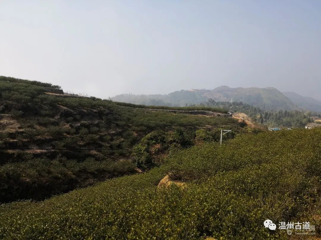 平阳麻步吧（平阳麻步沿口七星山古道环线穿越风景如画）