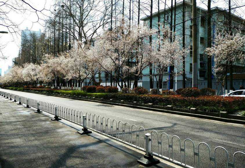 “建筑学”专业排名前10的大学！可分为3档，考上家人脸上有光