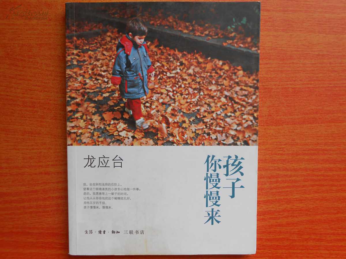 孩子你慢慢来好词好句精练96条