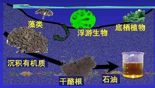 石油是怎么形成的？地球上為什么那么多石油？